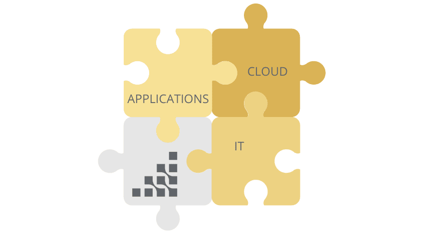 ERP Managed Services-compress