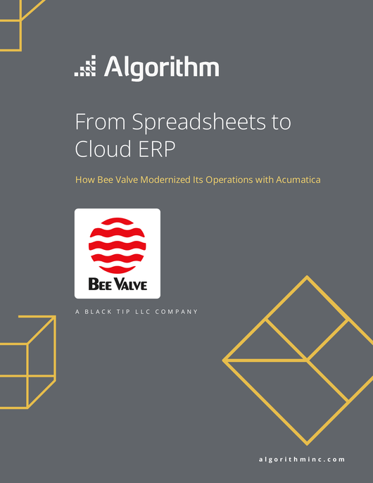  Algorithm's customer Bee Valve Story - From Spreadsheets to Cloud ERP  